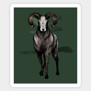 Chinese Zodiac: The Ram Magnet